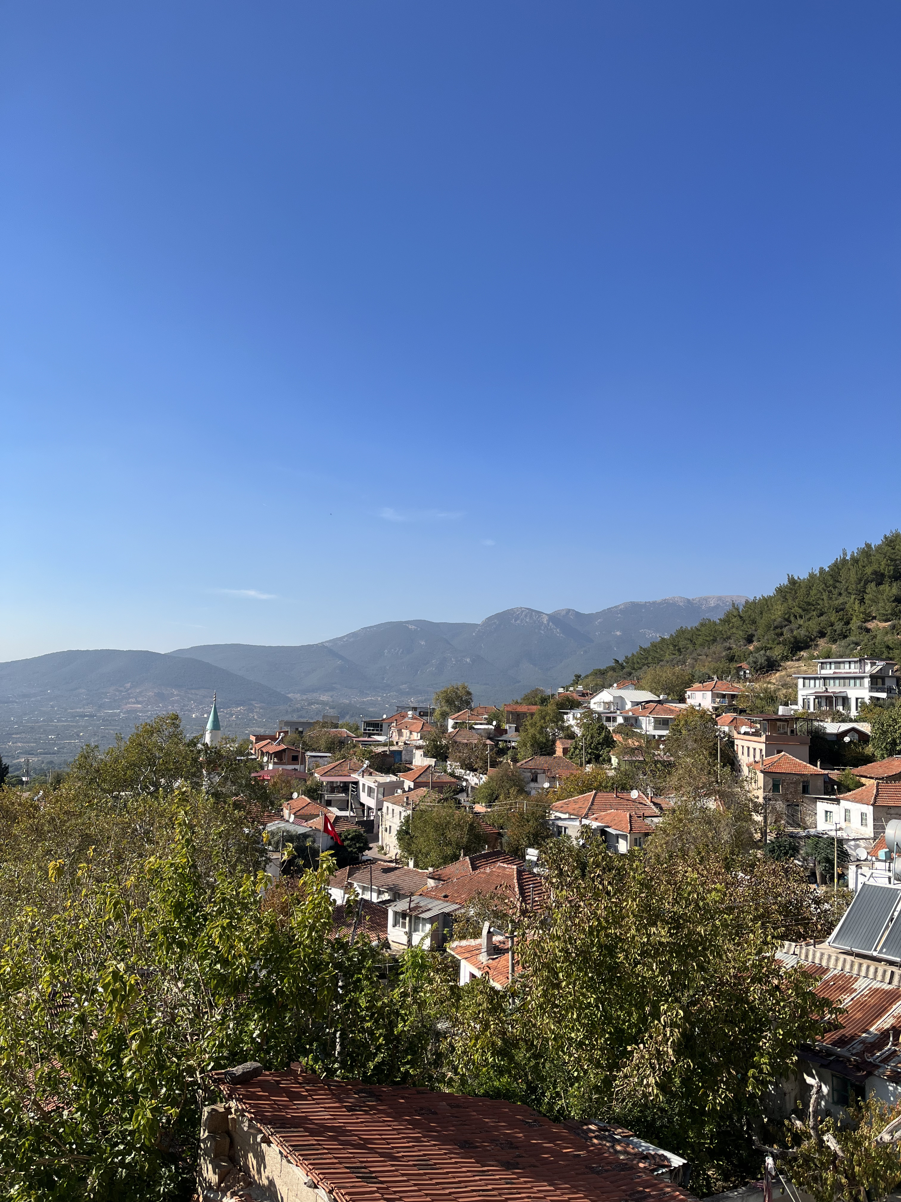 Doğal Bir Lezzetin Peşinden: Doğal Rota Nasıl Doğdu?